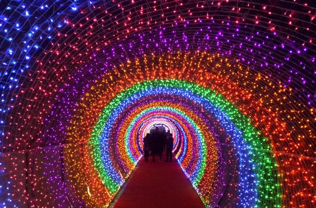 主题灯光节